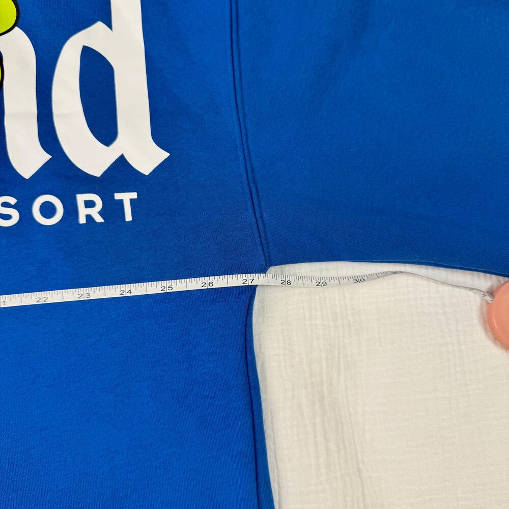 Disneyland Resort DLR Goofy Spirit Jersey Pullover Women's XL Bright Blue Royal - Picture 8 of 16